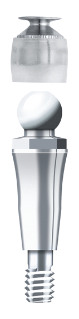 Bild för  'Ankylos Abutment with Snap Attachment C/ a/3.0 complete'