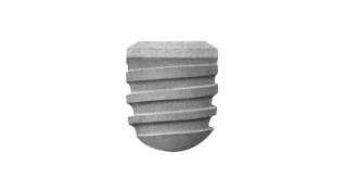 Bild för  'Ankylos C/X Implant B 6.6'