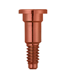 Bild för  'Friadent Cover screw for implants D 3.0'