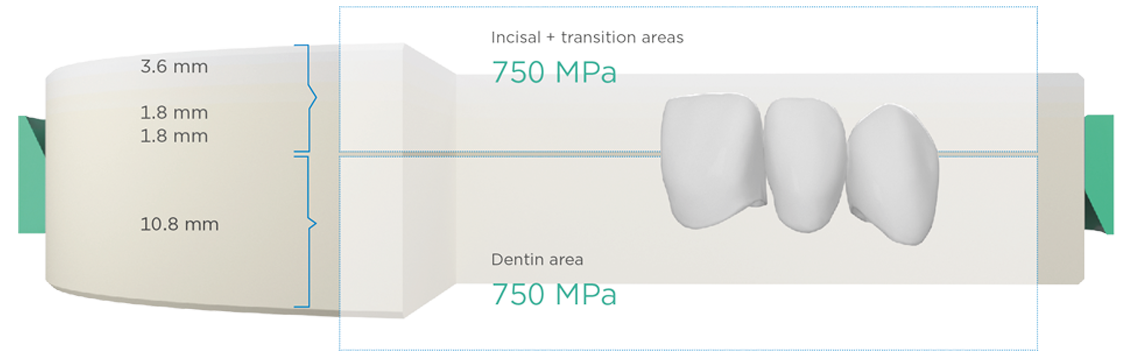 Nesting in a Cercon xt ML disc