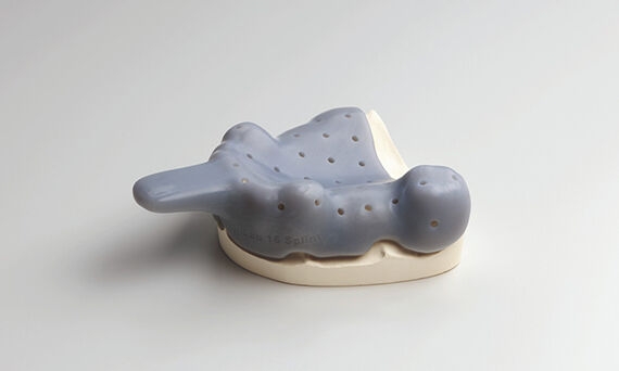 Individual impression tray