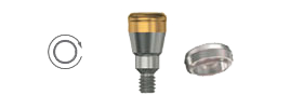 Locator Abutment EV