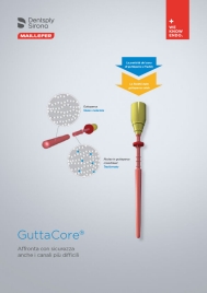 GuttaCore Brochure preview image