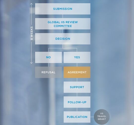 The IIS process 