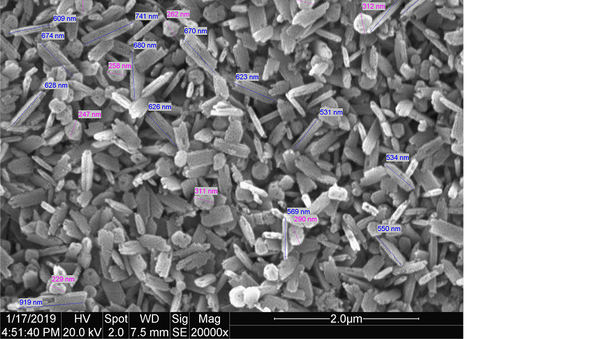 Microstructure of CEREC Tessera